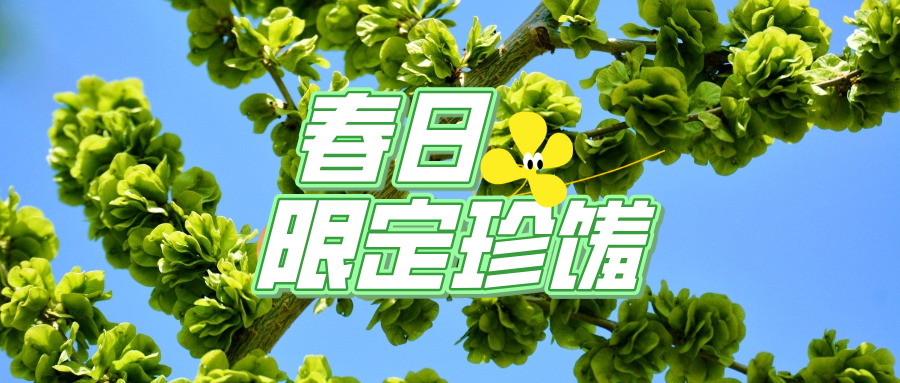 ���X(qi��n)��֦�^����������(d��ng)�r(sh��)